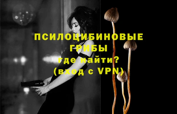 амф Белокуриха