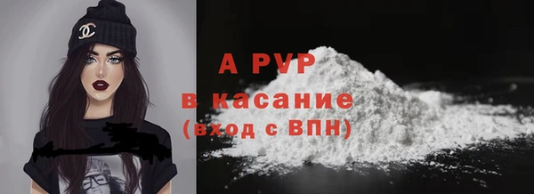 PSILOCYBIN Баксан