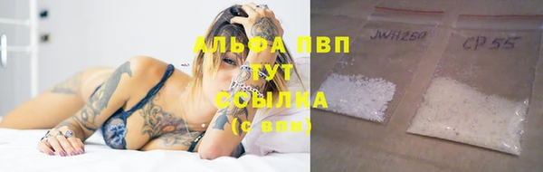 амф Белокуриха