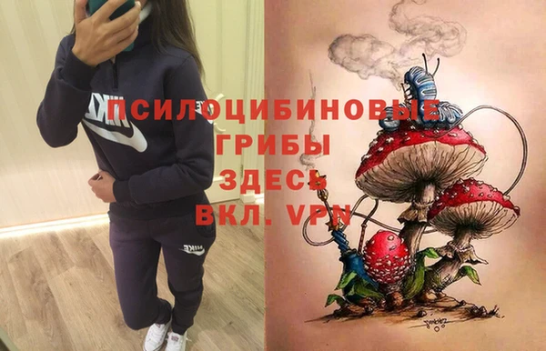 PSILOCYBIN Баксан