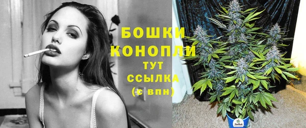бошки Балахна