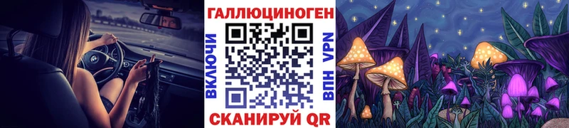 закладки  Салаир  Псилоцибиновые грибы Magic Shrooms 